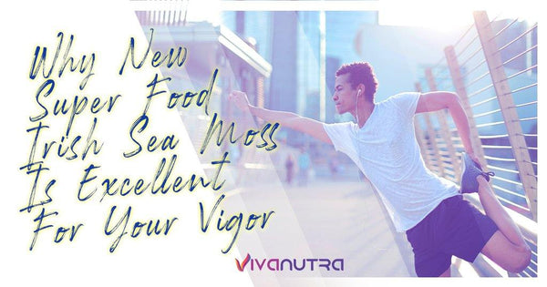 Why New Super Food Irish Sea Moss Is Excellent For Your Vigor - Viva Nutra