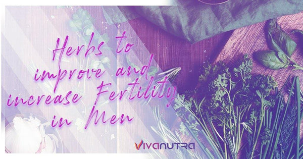 Herbs to improve and increase Fertility in Men - Viva Nutra
