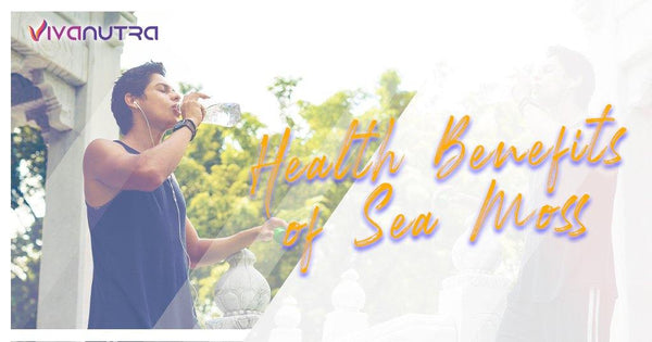 Health Benefits of Sea Moss/Irish Moss - Viva Nutra