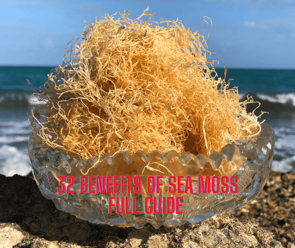 32 Benefits of Sea Moss: Full Guide - Viva Nutra
