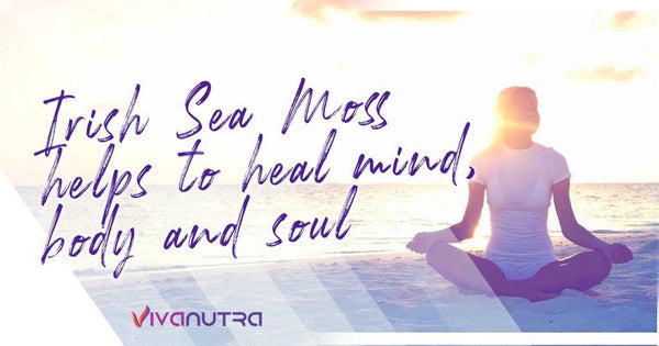 Irish Sea Moss Helps to Heal Mind, Body and Soul - Viva Nutra