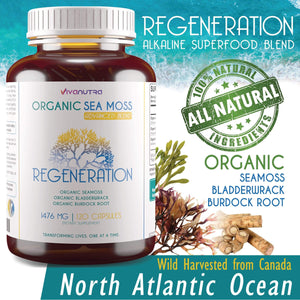 REGENERATION Organic Irish Sea Moss Capsules - Viva Nutra