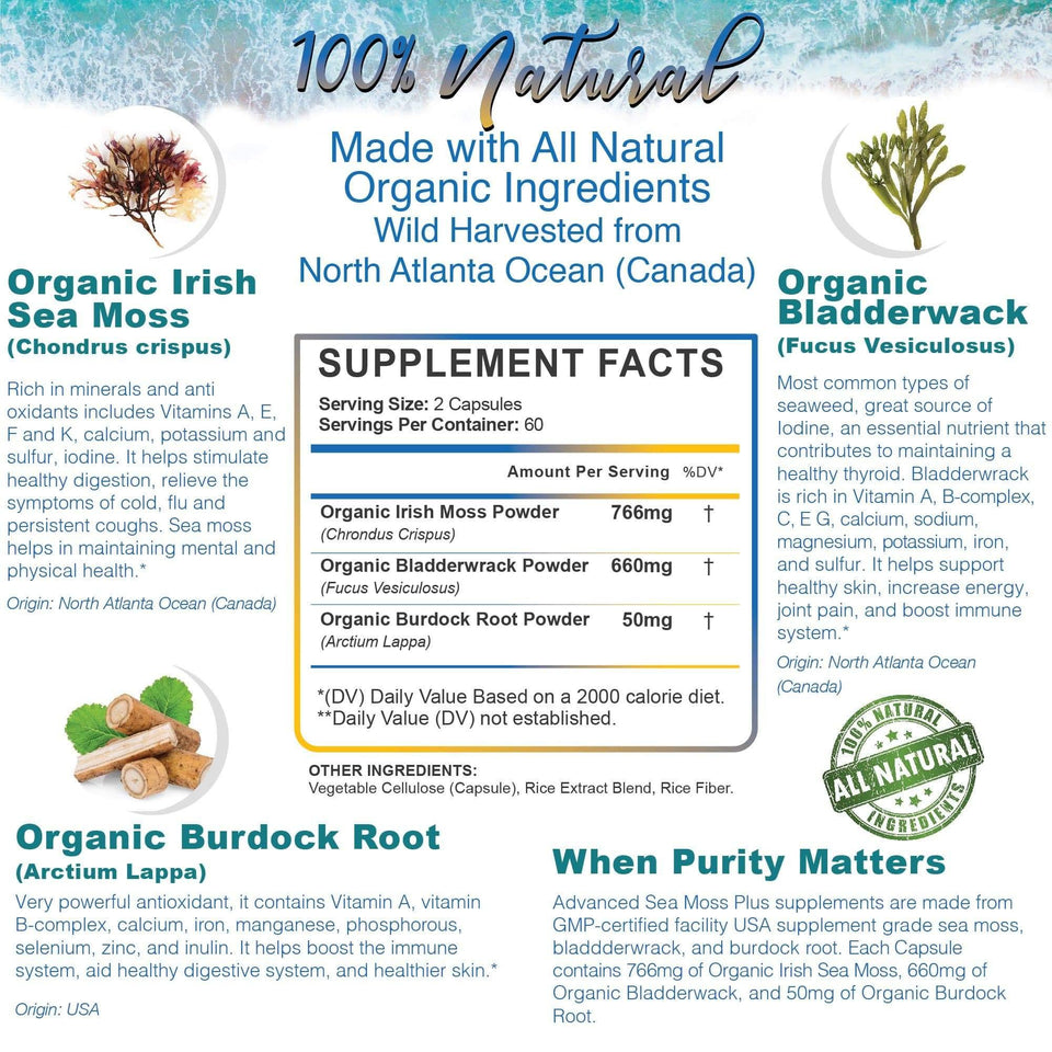 REGENERATION Organic Irish Sea Moss Capsules - Viva Nutra